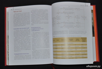 Наталия Баранова: Фэн-шуй. Большая энциклопедия