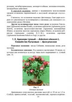 Морозова, Вандышев, Виноградова: Комнатные ядовитые растения. Учебное пособие