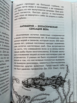 Борис Сергеев: Тайны океана