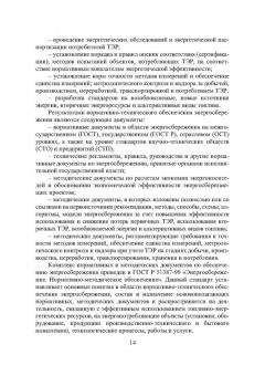 Шайтор, Горпинченко: Энергосберегающие режимы и технологии. Интеллектуальная электроэнергетика