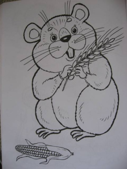 Татьяна Коваль: Домашние любимцы