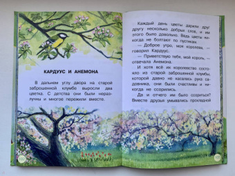 Наталия Немцова: Лучшие сказки для почемучки