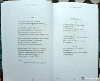 Среди печальных бурь. Из польской поэзии XIX-XX веков