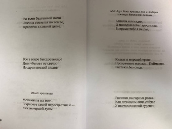 Мацуо Басё: "Лик вечерней луны". Хайку