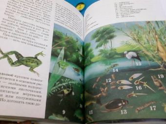 Ордынская, Собе-Панек, Першин: Хочу все знать!