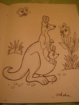 Татьяна Коваль: Живая планета