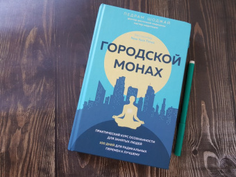 Педрам Шоджай: Городской монах