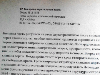 Мартин Клейтон: Анатомия Леонардо