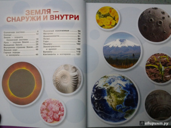 Мерников, Шереметьева, Спектор: Как все устроено и как это работает