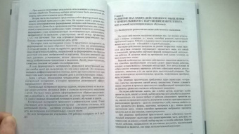 Елена Стребелева: Пути формирования наглядных форм мышления у дошкольников с нарушением интеллекта