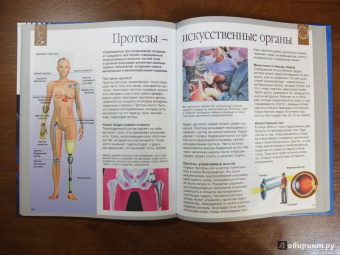 Буэ, Симон: Тело человека
