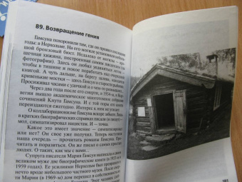 Николай Надеждин: Кнут Гамсун. "Грешники и праведники"