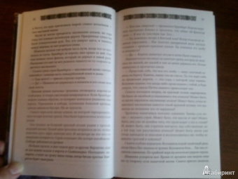 Бернхард Хеннен: Битва королей. Огонь эльфов