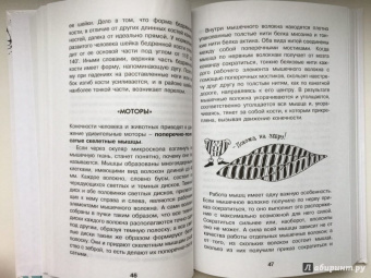 Борис Сергеев: Как устроен человек