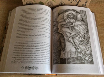 Ярослав Гашек: Похождения бравого солдата Швейка (комплект из 2-х книг)