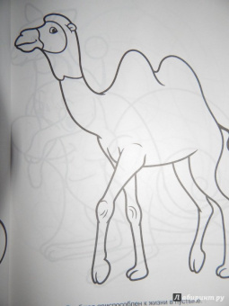 Большая раскраска "Животные"