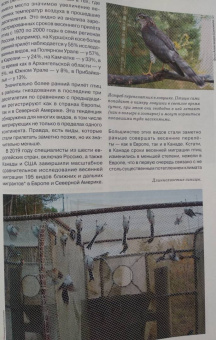 Журнал "Наука и жизнь" № 2. 2021