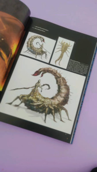 Dark Souls II. Иллюстрации