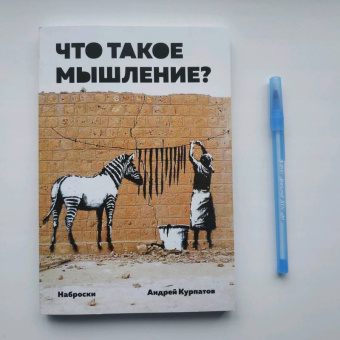 Андрей Курпатов: Что такое мышление? Наброски