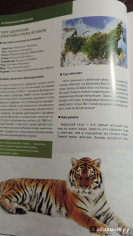 Скалдина, Слиж: Красная книга. Животные мира
