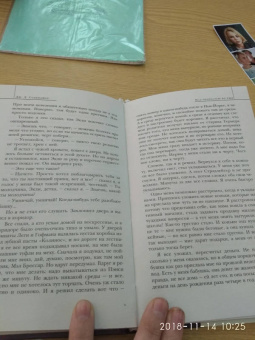 Джером Сэлинджер: Над пропастью во ржи