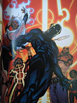 Коатс, Спраус: Чёрная Пантера. Народ под нашими ногами. Книга 2