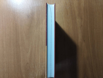 Ирвин Уэлш: Сексуальная жизнь сиамских близнецов