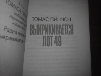 Томас Пинчон: Выкрикивается лот 49