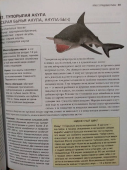 Михаил Куценко: Подводный мир. Большая иллюстрированная энциклопедия