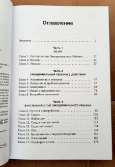 Кришнананда, Троуб: За пределы страха. Трансформация негативных эмоций