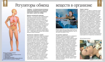 Буэ, Симон: Тело человека