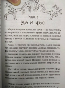 Евгения Полянина: Тайна лабиринта