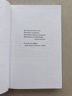 Дани Эрикур: Ложка