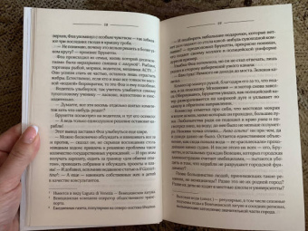 Донна Леон: Кража в Венеции