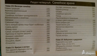 Шейла Эллисон: 365 лучших игр для развития вашего маленького гения