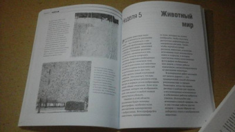 Баррингтон Барбер: Учимся рисовать за 6 недель. Материалы, техники, идеи