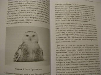 Клайв Финлейсон: Умный неандерталец. Охота на птиц, пещерное искусство и когнитивная революция