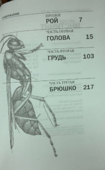 Бен Кей: Инстинкт