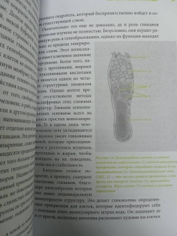 Сюзанна Ведлих: Книга слизи. Скользкий след в истории Земли