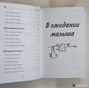 Елена Сосорева: Буду мамой! Все о беременности и первом годе жизни малыша. 1000 ответов на 1000 главных вопросов