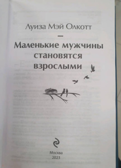 Луиза Олкотт: Маленькие мужчины становятся взрослыми