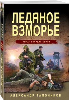 Александр Тамоников: Ледяное взморье
