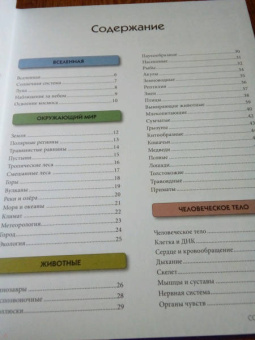 Симона Ратто: Моя первая книга вопросов и ответов