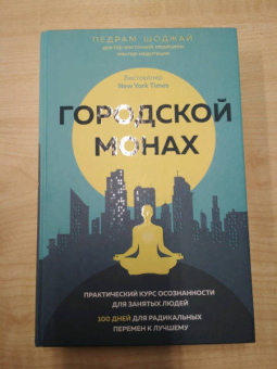 Педрам Шоджай: Городской монах