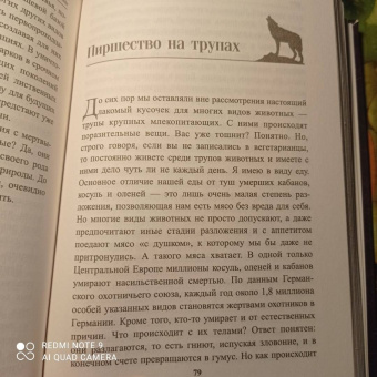 Петер Воллебен: Тайные связи в природе