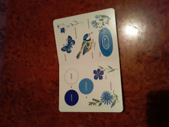 Елена Ивановская: Моя первая книжка о цвете