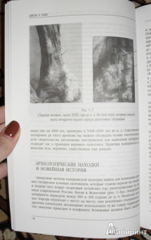 Джон Раш: История культуры татуировок, пирсинга, скарификации, клеймения и вживления имплантатов