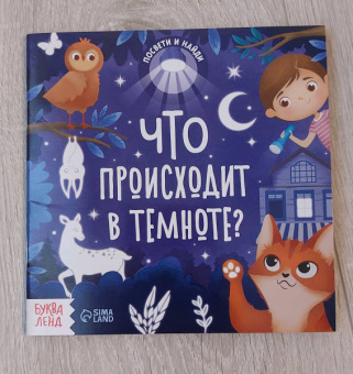 Книга с фонариком Что происходит в темноте?