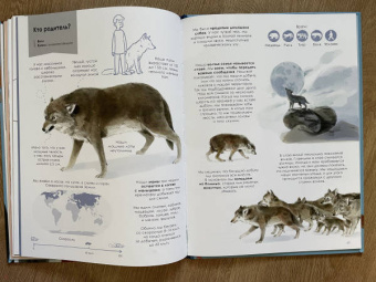 Олливье, Клаас: Лучшие родители