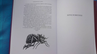 Гофман Эрнст Теодор Амадей: Повелитель блох